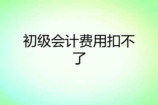 初级会计费用扣不了