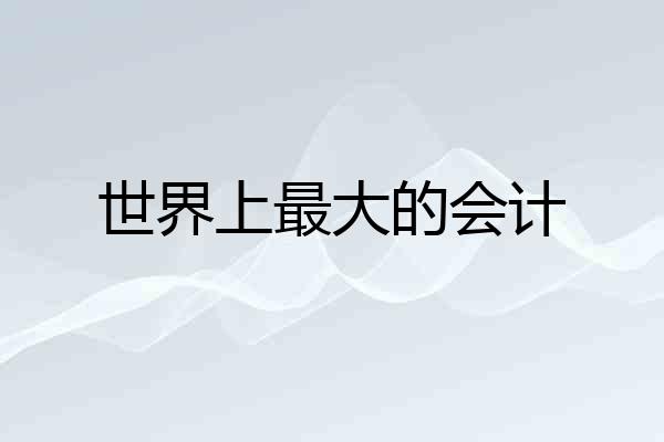 世界上最大的会计