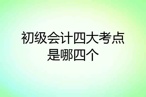 初级会计四大考点是哪四个
