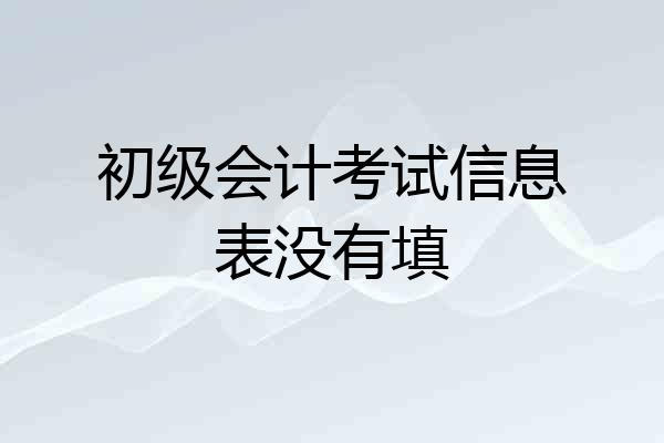 初级会计考试信息表没有填