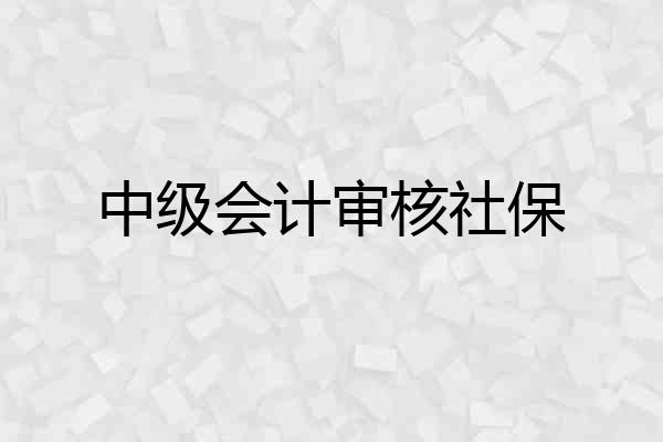 中级会计审核社保
