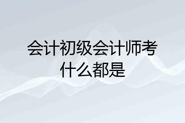 会计初级会计师考什么都是