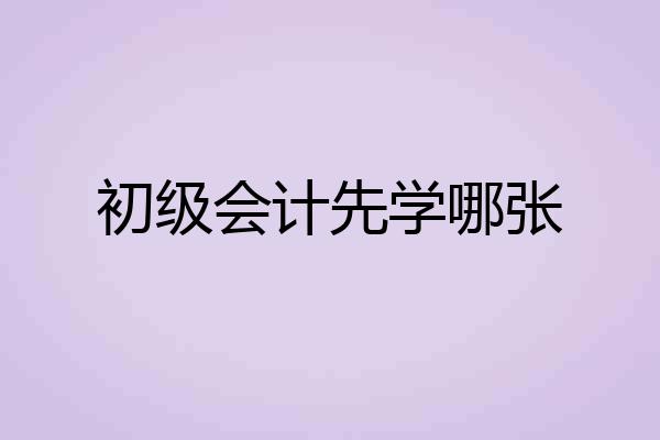 初级会计先学哪张