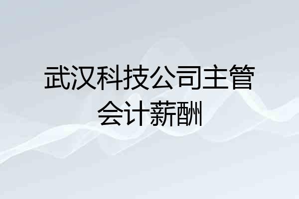 武汉科技公司主管会计薪酬