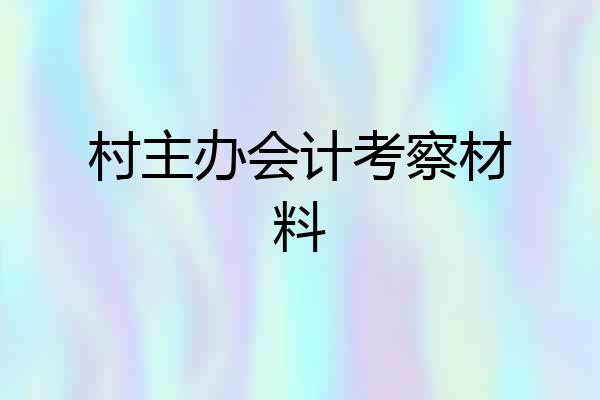 村主办会计考察材料