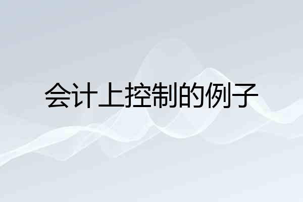 会计上控制的例子