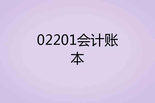 02201会计账本