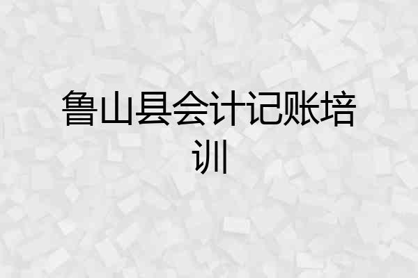 鲁山县会计记账培训