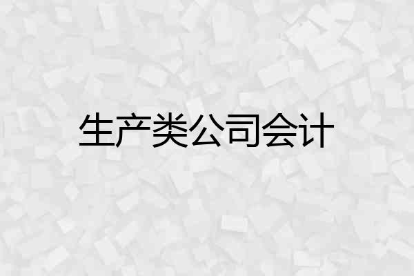 生产类公司会计