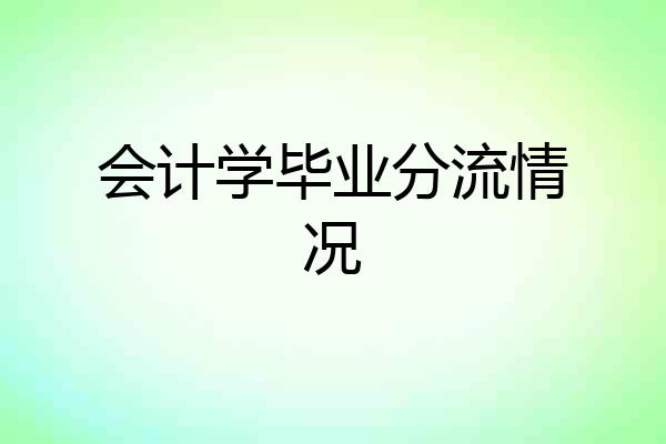 会计学毕业分流情况