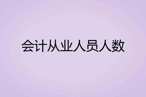 会计从业人员人数