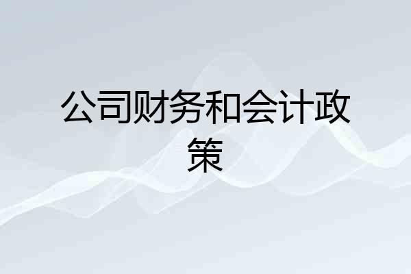 公司财务和会计政策