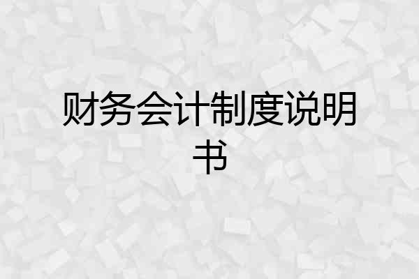 财务会计制度说明书