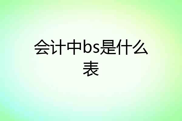 会计中bs是什么表
