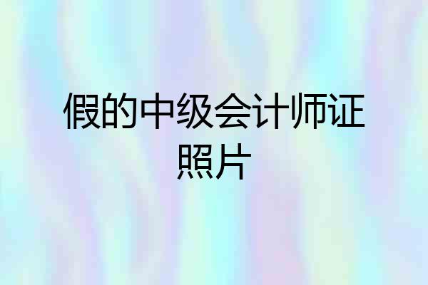 假的中级会计师证照片