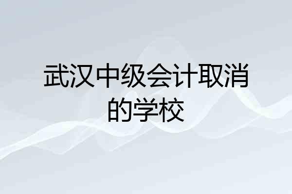 武汉中级会计取消的学校
