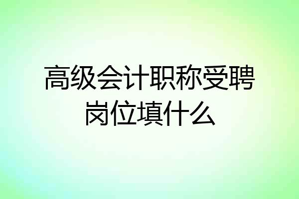 高级会计职称受聘岗位填什么