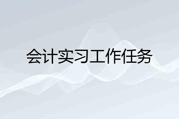 会计实习工作任务