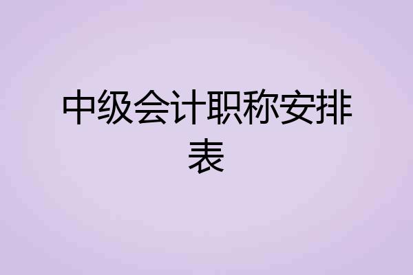 中级会计职称安排表