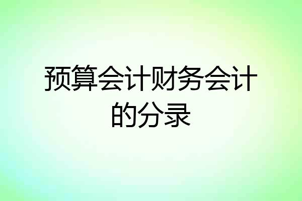预算会计财务会计的分录