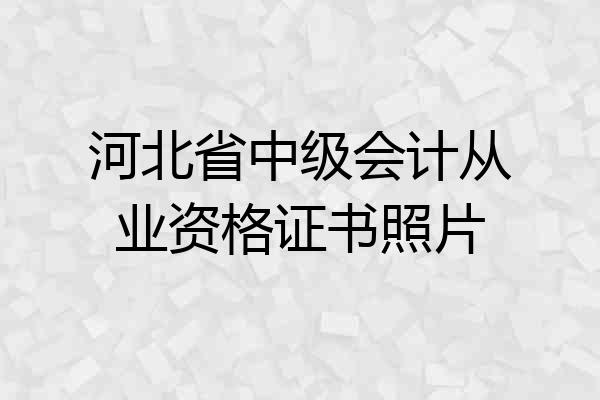 河北省中级会计从业资格证书照片
