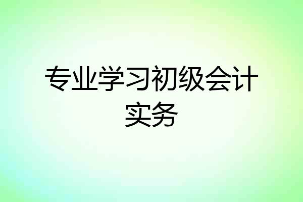 专业学习初级会计实务