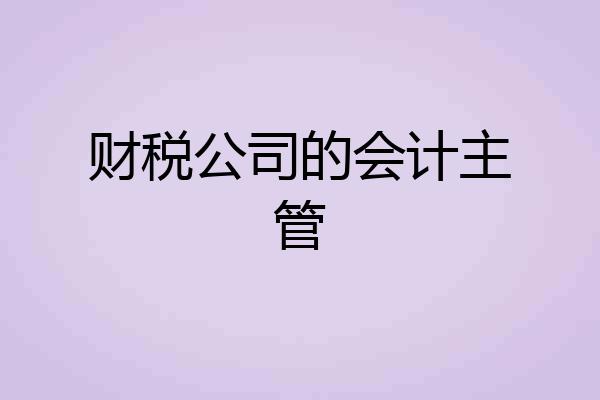 财税公司的会计主管