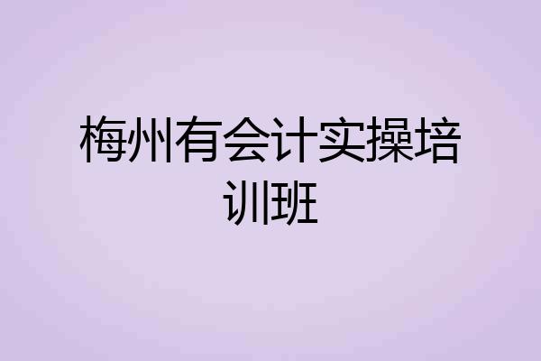 梅州有会计实操培训班
