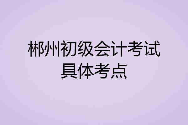 郴州初级会计考试具体考点