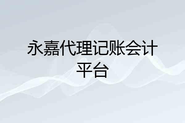 永嘉代理记账会计平台