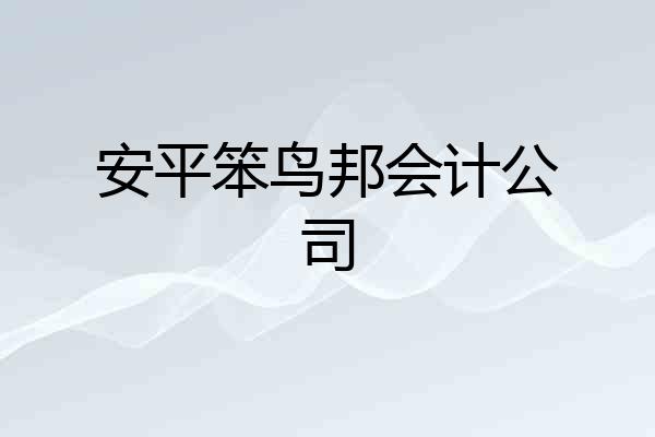 安平笨鸟邦会计公司