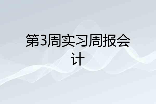 第3周实习周报会计