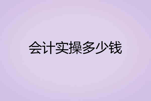 会计实操多少钱