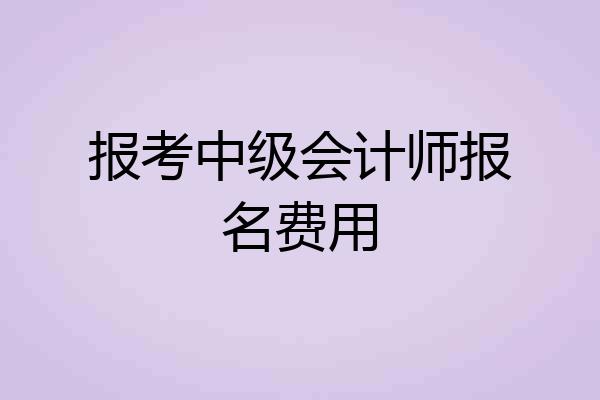 报考中级会计师报名费用