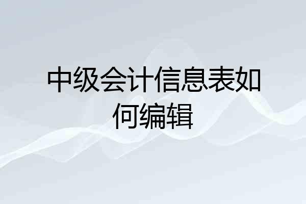 中级会计信息表如何编辑