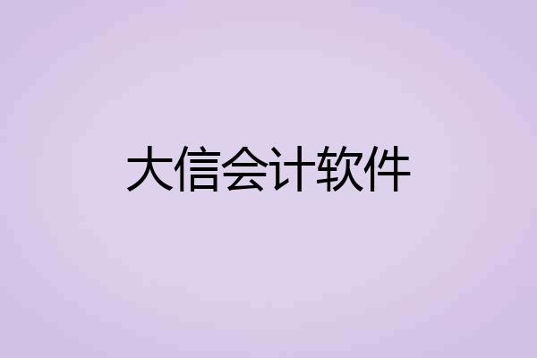 大信会计软件