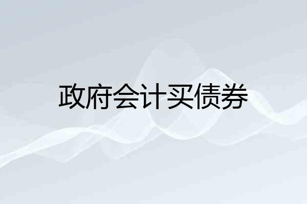 政府会计买债券