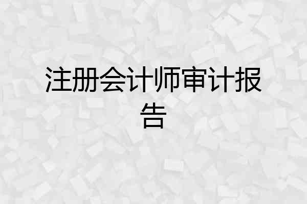 注册会计师审计报告