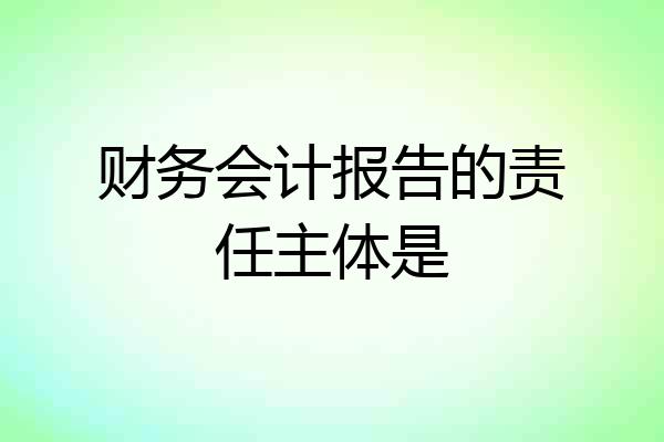 财务会计报告的责任主体是