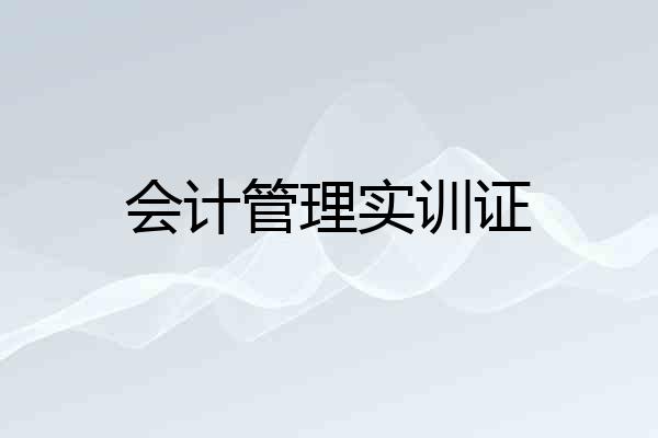 会计管理实训证