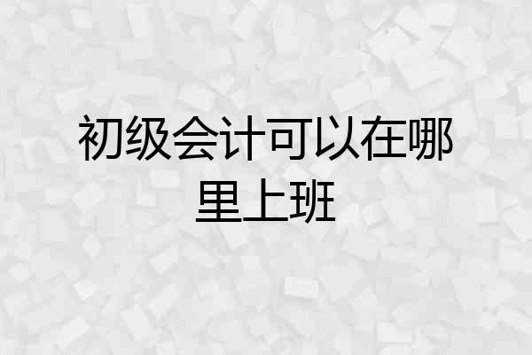 初级会计可以在哪里上班