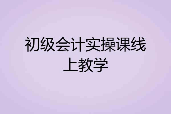 初级会计实操课线上教学