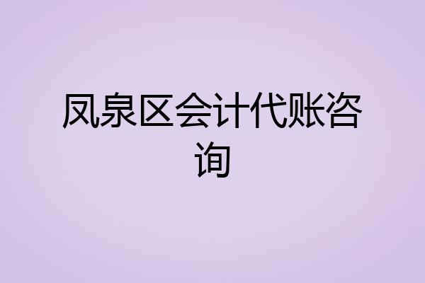 凤泉区会计代账咨询
