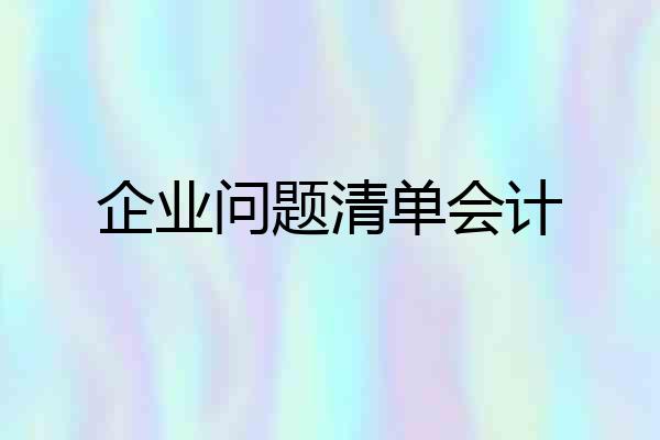 企业问题清单会计