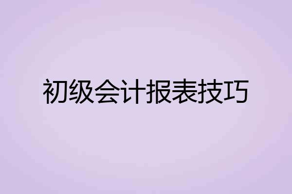 初级会计报表技巧