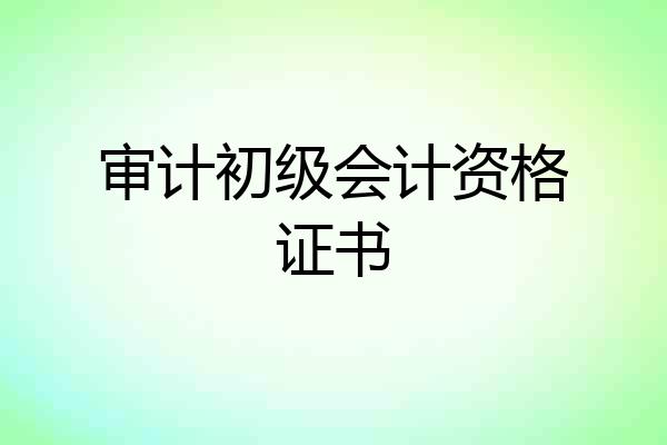 审计初级会计资格证书