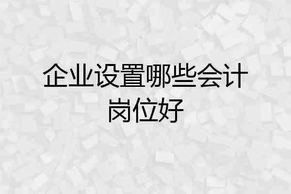 企业设置哪些会计岗位好