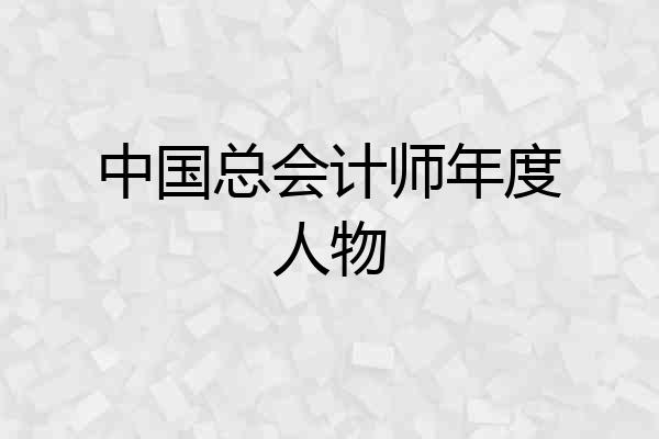 中国总会计师年度人物