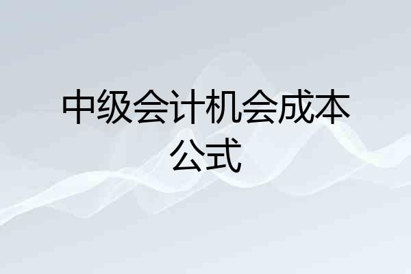 中级会计机会成本公式