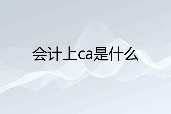 会计上ca是什么